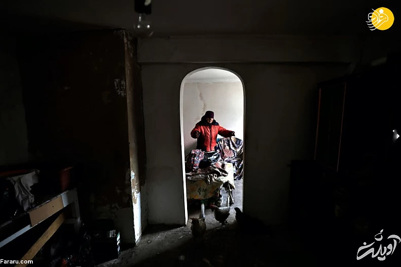 (تصاویر) داستان پیرزن اوکراینی و مرغهایش